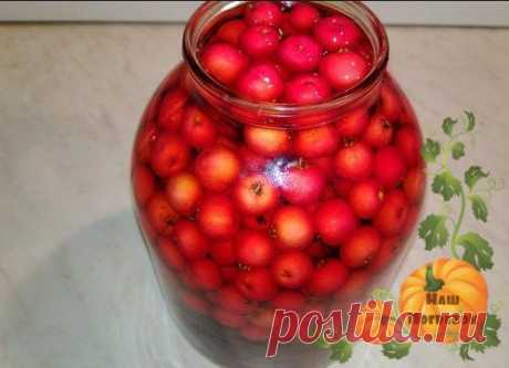 Наливка из боярышника: рецепт из свежих ягод на водке или самогоне