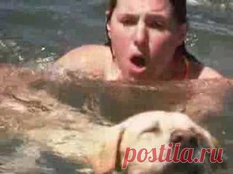 Blind Dog Saves Drowning Girl - It's A Miracle - 4365