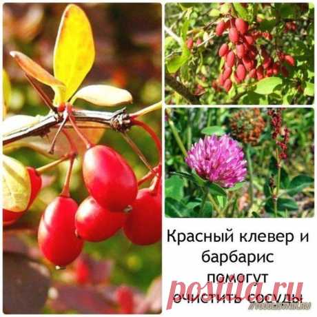 ЖЕНСОВЕТ: кулинария, красота, рукоделие | ВКонтакте