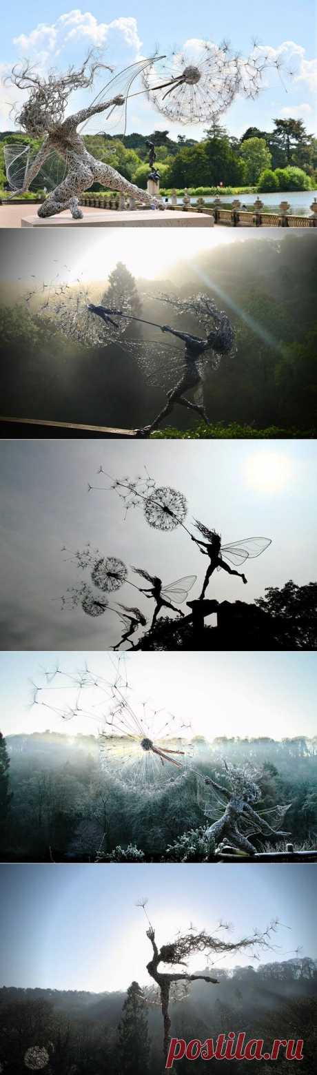 Скульптор из Великобритании Робин Уайт (Robin Wight) создаёт драматические сцены с феями, сжимающими несущиеся на ветру одуванчики, цепляющимися за деревья и, словно зависшими в воздухе. Материалом для хрупких фигур служит нержавеющая стальная проволока Одноклассники
