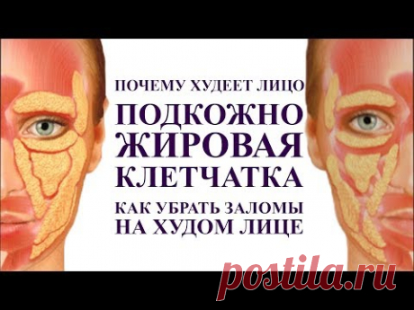 подкожно жировая клетчатка - вся правда. Как убрать заломы на худом лице. Массаж для молодости лица.