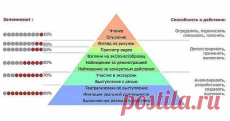 Как эффективно изучить и запомнить какую-либо тему | Интересные факты из психологии