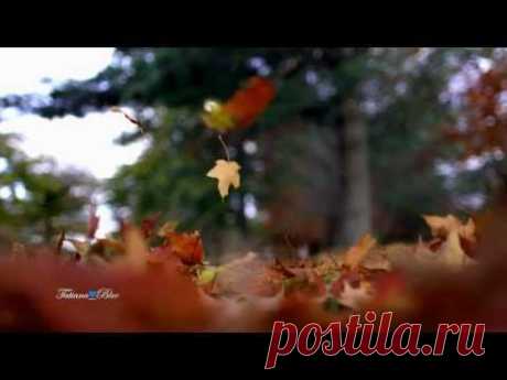 André Rieu - Les Feuilles Mortes (Autumn Leaves) - YouTube