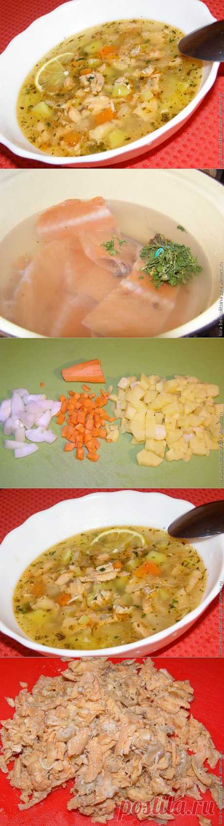 Суп из хребтов семги / Рецепты с фото