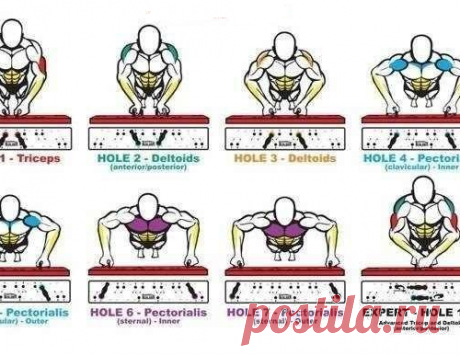 Удобная таблица, показывающая, какие группы мышц работают при различных видах отжиманий