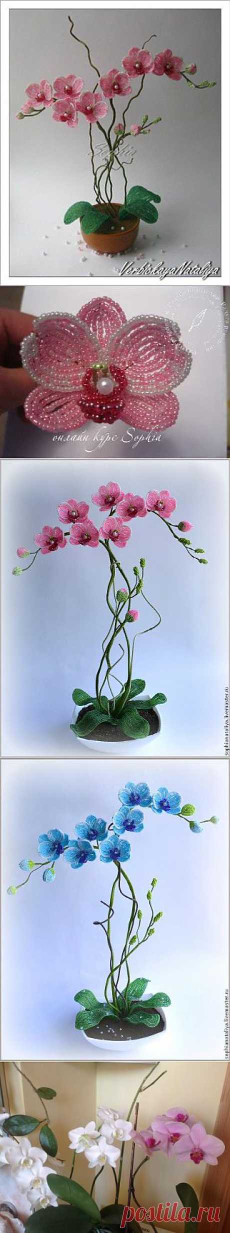 Орхидея из бисера.