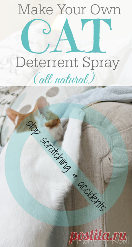 Homemade Cat Deterrent Spray - Stop The Scratching and Accidents - Mom 4 Real