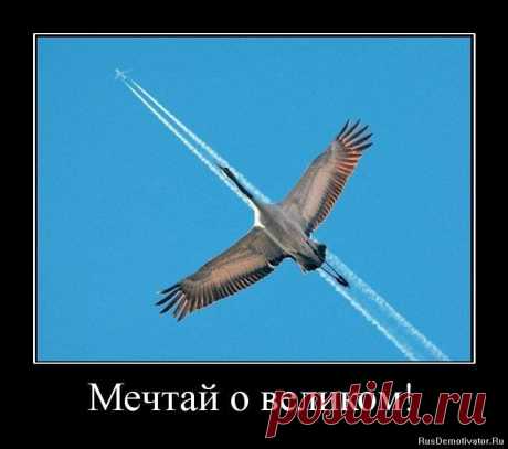 Если ты не знаешь, как устроен самолет - это не значит, что он не полетит... 
Присоединяйся к интернет-бизнесу сегодня и тебе не придется думать о своем доходе завтра vibirayfinansy.blogspot.com