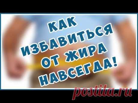 Как убрать живот навсегда. Как сбросить вес, жир. Ожирение. Всё, что Вам жизненно важно знать! - YouTube