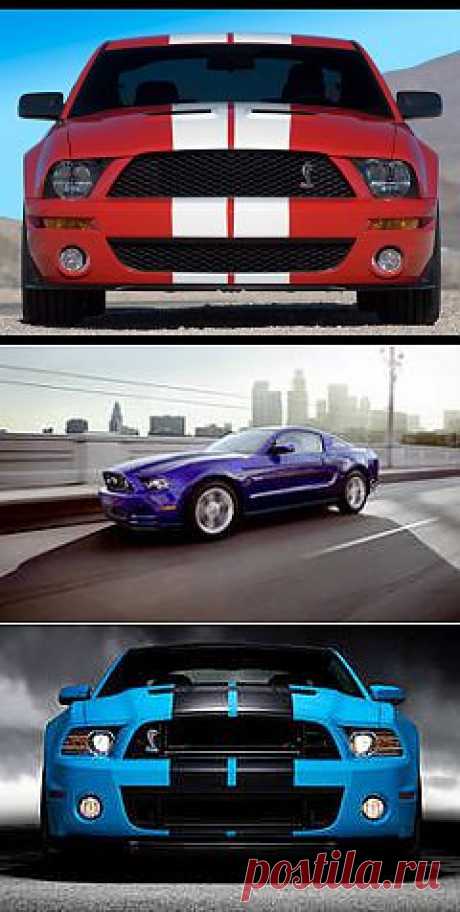 Фото Ford Mustang GT: 227 тыс изображений найдено в Яндекс.Картинках