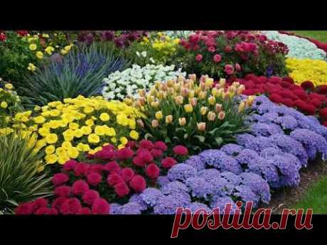 Do-it-yourself landscape design Ideas for flower beds. Як зробити сад красивим