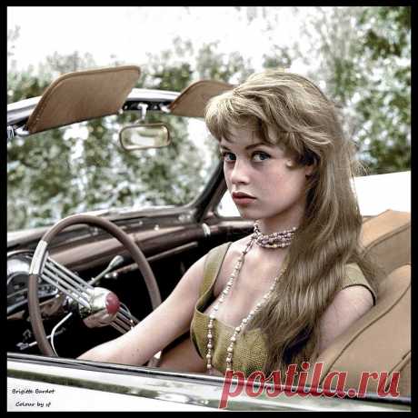 Brigitte Bardot