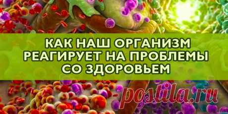 КАК НАШ ОРГАНИЗМ РЕАГИРУЕТ НА ПРОБЛЕМЫ СО ЗДОРОВЬЕМ | Полезные советы