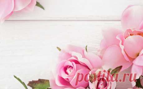 Скачать обои pink, flowers, roses, розы, раздел цветы в разрешении 1600x1000