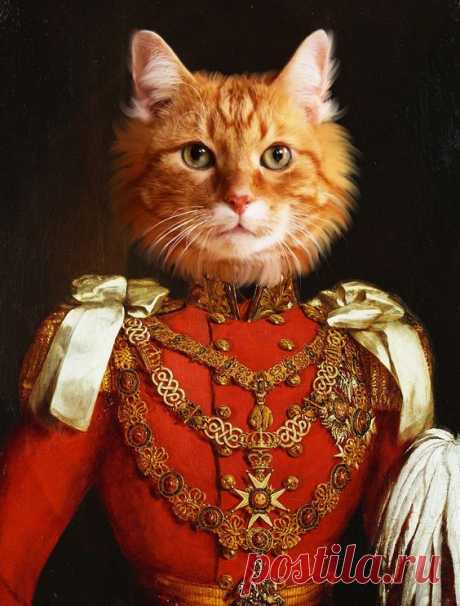 Portrait de votre chat en costume militaire sur commande