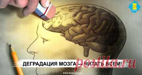 Деградация мозга &amp;#8212; читать ВСЕМ! - Brainum