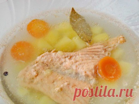 Рыбный суп из лосося. Пошаговый фоторецепт - Ботаничка.ru