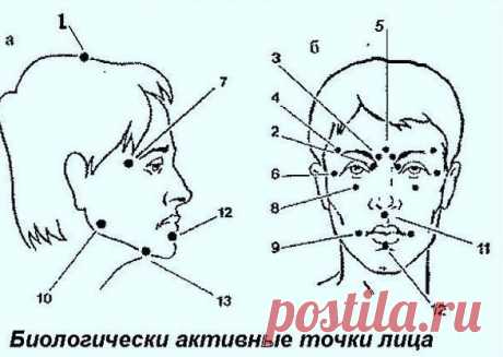 Массаж шиацу. Биологически активные точки на голове и лице |