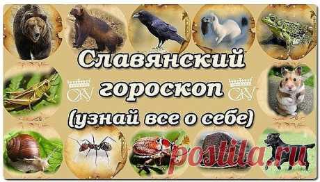 А теперь узнайте, кто вы есть на самом деле.

Темный Сох (Лось) 1912 1928 1944 1960 1976 1992 2008

Жалящий Шершень (Оса) 1913 1929 1945 1961 1977 1993 2009

Притаившийся Лют (Волк) 1914 1930 1946 1962 1978 1994 2010

Огненная Векша (Белка) 1915 1931 1947 1963 1979 1995 2011

Жемчужная Щука 1916 1932 1948 1964 1980 1996 2012

Бородатая Жаба 1917 1933 1949 1965 1981 1997 2013

Дикий Вепрь (Кабан) 1918 1934 1950 1966 1982 1998 2014

Белый Филин 1919 1935 1951 1967 1983 1999 2015..