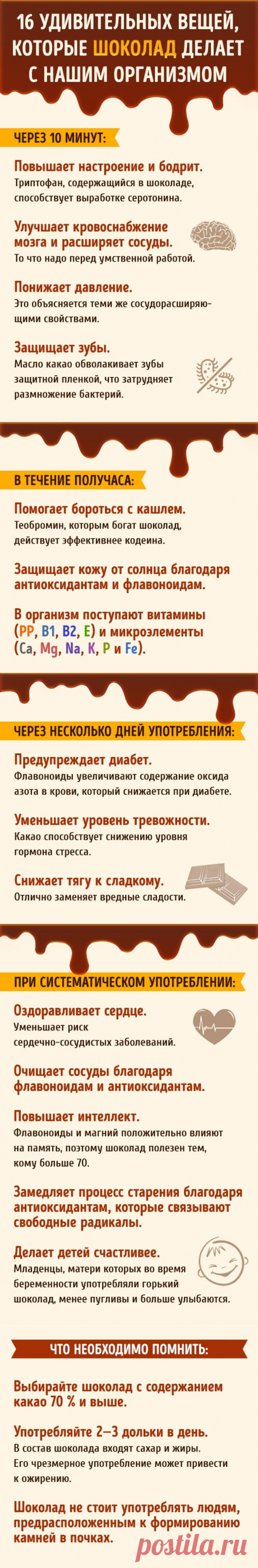 Что происходит с нашим организмом после дольки шоколада | Всегда в форме!