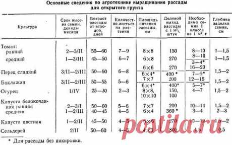 Выращивание рассады: 15 самых серьезных ошибок