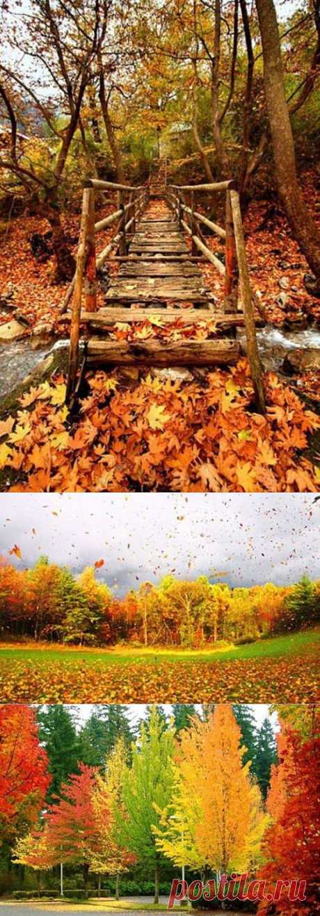 Amazing And Beautiful Fall (28 Photos) | FunCage