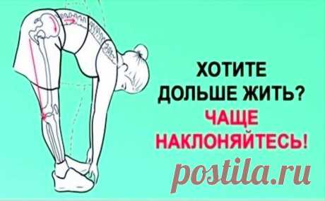 Хочешь жить дольше? Чаще наклоняйся!
Поясничная мышца (the psoas muscle) — это самая глубокая мышца человеческого тела, влияющая на наш структурный баланс, мышечную интеграцию, гибкость, силу, диапазон движений, подвижность суставов и функционирование органов. «Мышца души» находится в теле вовсе не в груди, как можно предположить, а в области таза. Стрессы современной жизни закрепощают ее, порождая проблемы со здоровьем. Влияние образа […]
Читай дальше на сайте. Жми подробнее ➡