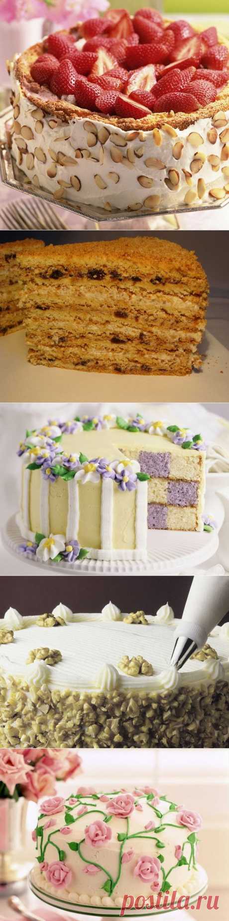 Домашние торты: разные на вкус и цвет