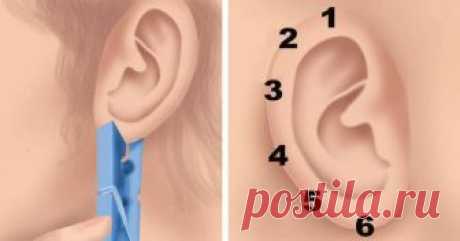 Зажмите ухо на 20 секунд прищепкой и результат вас удивит! На каждом ухе есть не менее шести точек, каждая из которых напрямую связана с определенным участком человеческого тела...Китайская медицина в действии!
Попробуйте зажать мочку уха с помощью прищепки н...