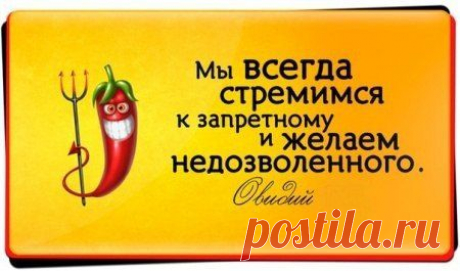 #интернет_бизнес #наши_желания #стремление
Всегда найдется кто-то, кому не нравится то, что ты делаешь. Это нормально. Всем подряд нравятся только котята.