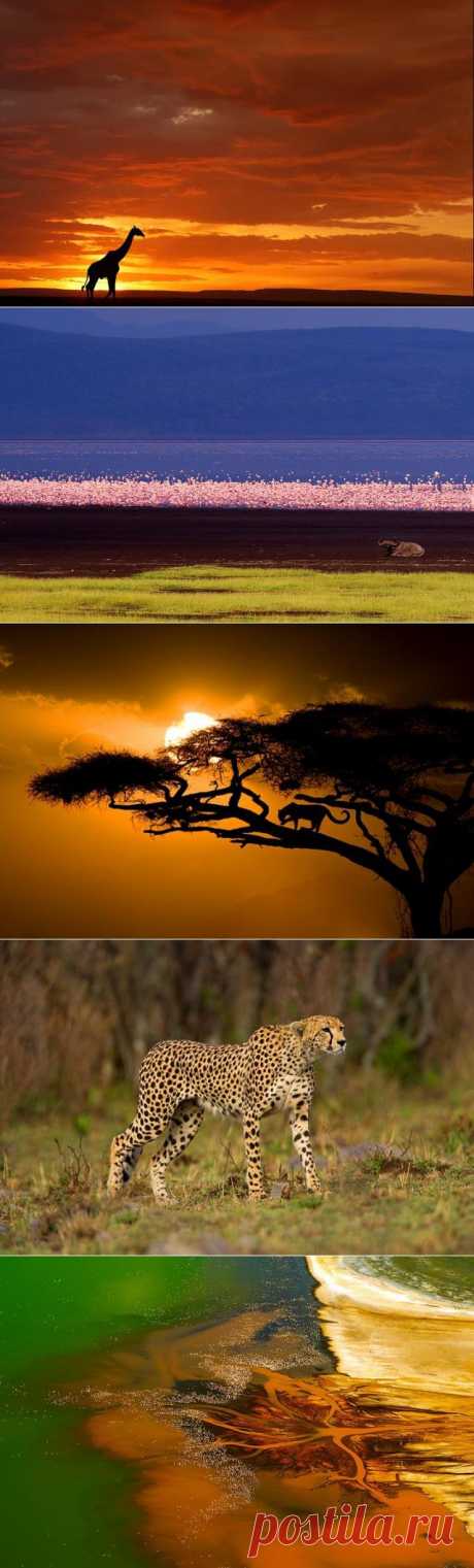 Очень красивые пейзажи Африки (10 Фото) » Триникси