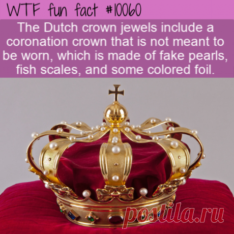 WTF Fun Fact – Dutch Fish Scale Crown &amp;#8211; Top Best Celebrity Blogs