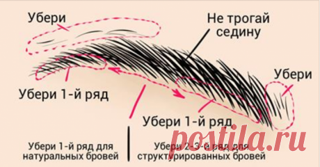 Идеальные брови дома за 3 минуты: просто следуй инструкции!