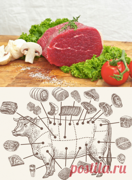 Как готовить разные части говядины