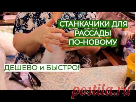 НЕ ТРАТЬТЕ ДЕНЬГИ! Такие СТАКАНЧИКИ ДЛЯ РАССАДЫ может СДЕЛАТЬ ДАЖЕ РЕБЕНОК!