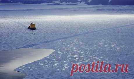 Разбираем тему: Интересные факты о Северном Ледовитом океане