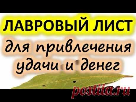 Лавровый лист для привлечения удачи и денег | Эзотерика для Тебя Советы Ритуалы Обряды Обереги