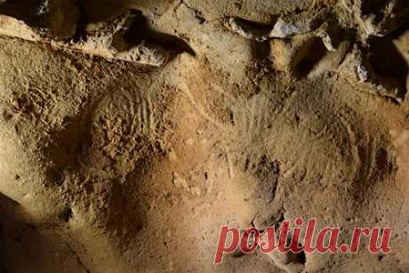 Обнаружены самые древние наскальные рисунки неандертальцев. Ученые Турского университета во Франции определили самые древние наскальные рисунки, сделанные неандертальцами. Они находятся в пещере Ла-Рош-Котар в регионе Валь-де-Луар, а их возраст превышает 57 тысяч лет. Рисунки представляют собой намеренно нанесенные на стену отпечатки пальцев.