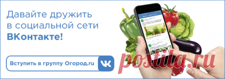 Почта Mail.ru