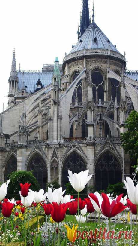 Notre Dame, Paris