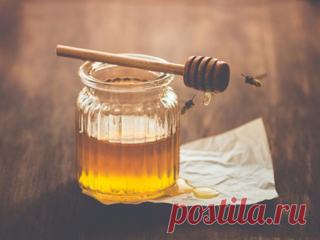 Рецепт медовой лепешки, как приготовить ее самостоятельно?
