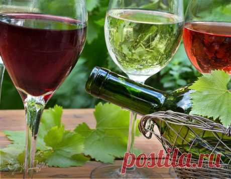 Вина Молдавии: красное, белое вино, вино букет Молдавии | Официальный сайт кулинарных рецептов Юлии Высоцкой