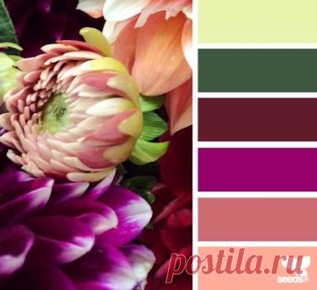 Design Seeds® | find your palette