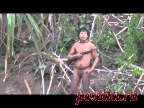 Funai registra imagens de povo que ainda vive isolado no Acre - YouTube