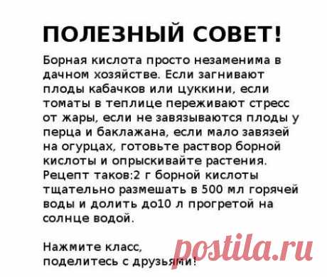 Полезный совет