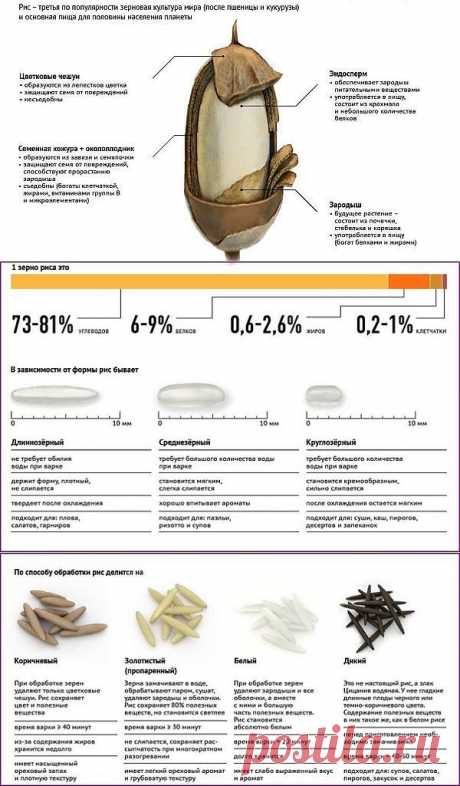 Виды риса и его использование