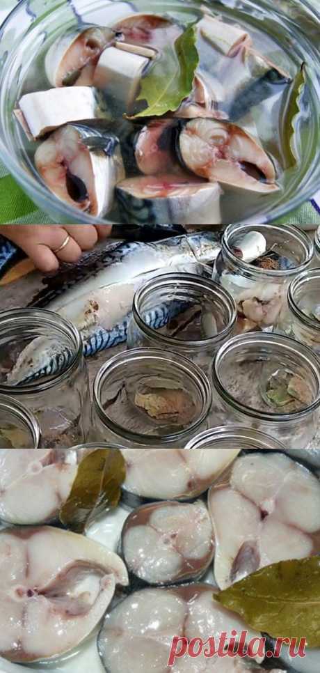 Малосольная скумбрия в масле: роскошный рецепт для любителей рыбы — Мой милый дом