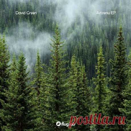 lossless music  : David Green - Artzenu