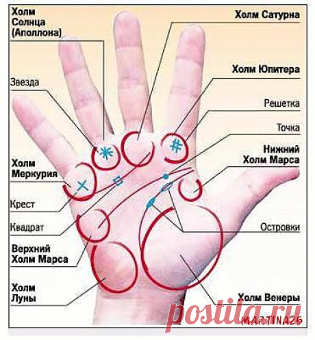 75 способов определения болезни по руке. | Познавательный сайт ,,1000 мелочей&quot;