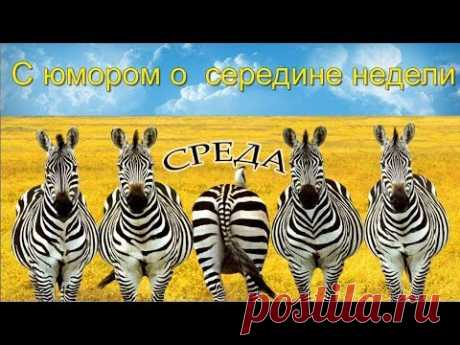 #Среда #Прикольное_видео Пожелания хорошего настроения - YouTube